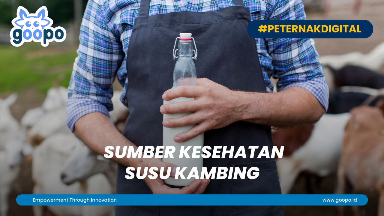 Sumber Kesehatan Susu Kambing