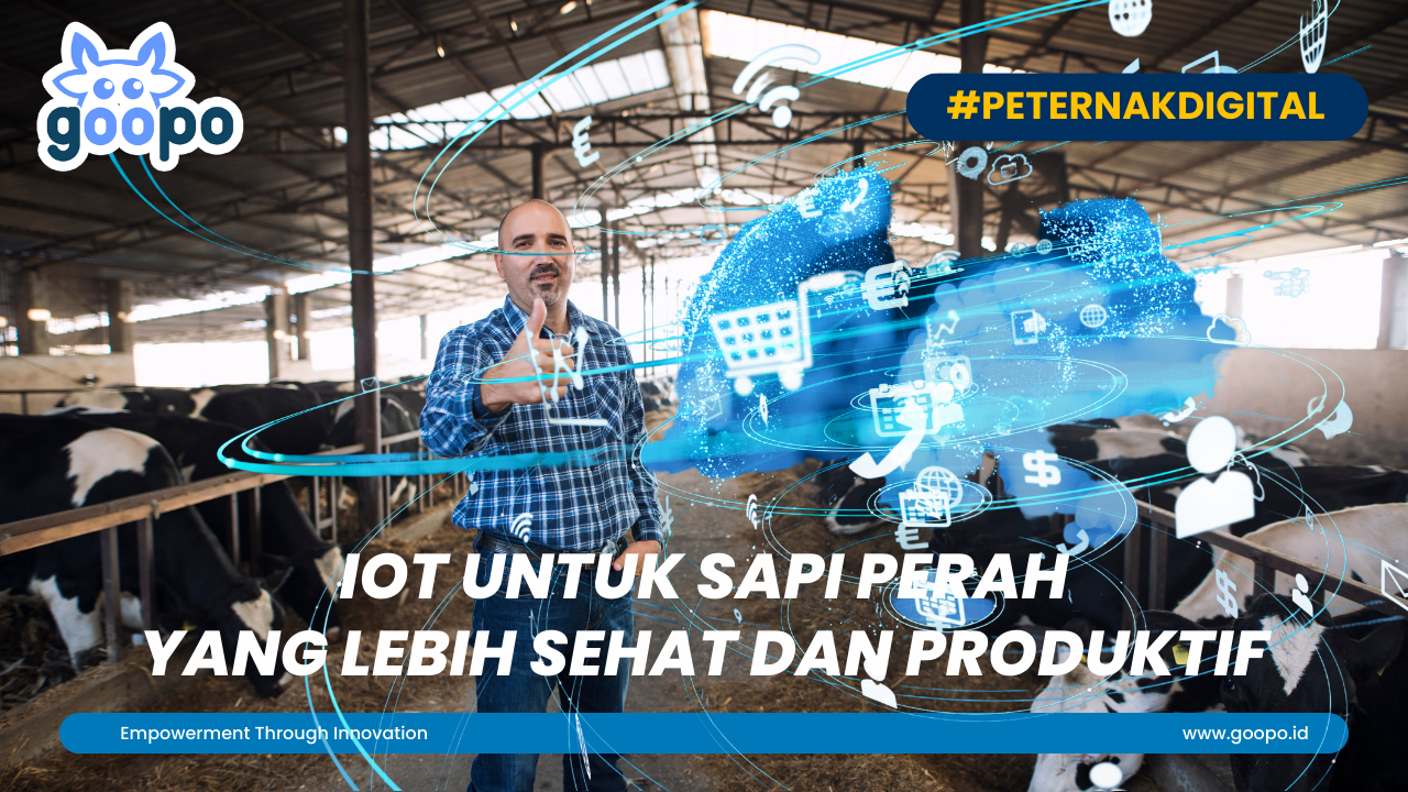 IoT untuk Sapi Perah yang Lebih Sehat dan Produktif