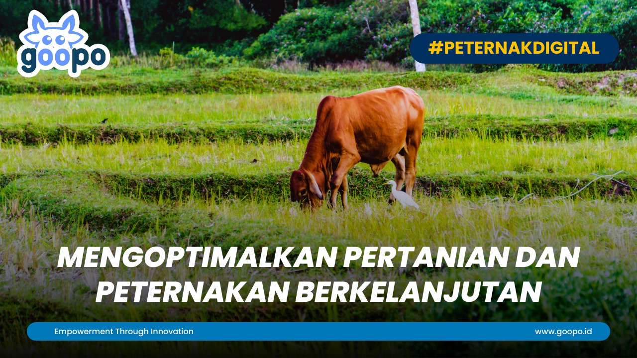 Mengoptimalkan Pertanian dan Peternakan Berkelanjutan