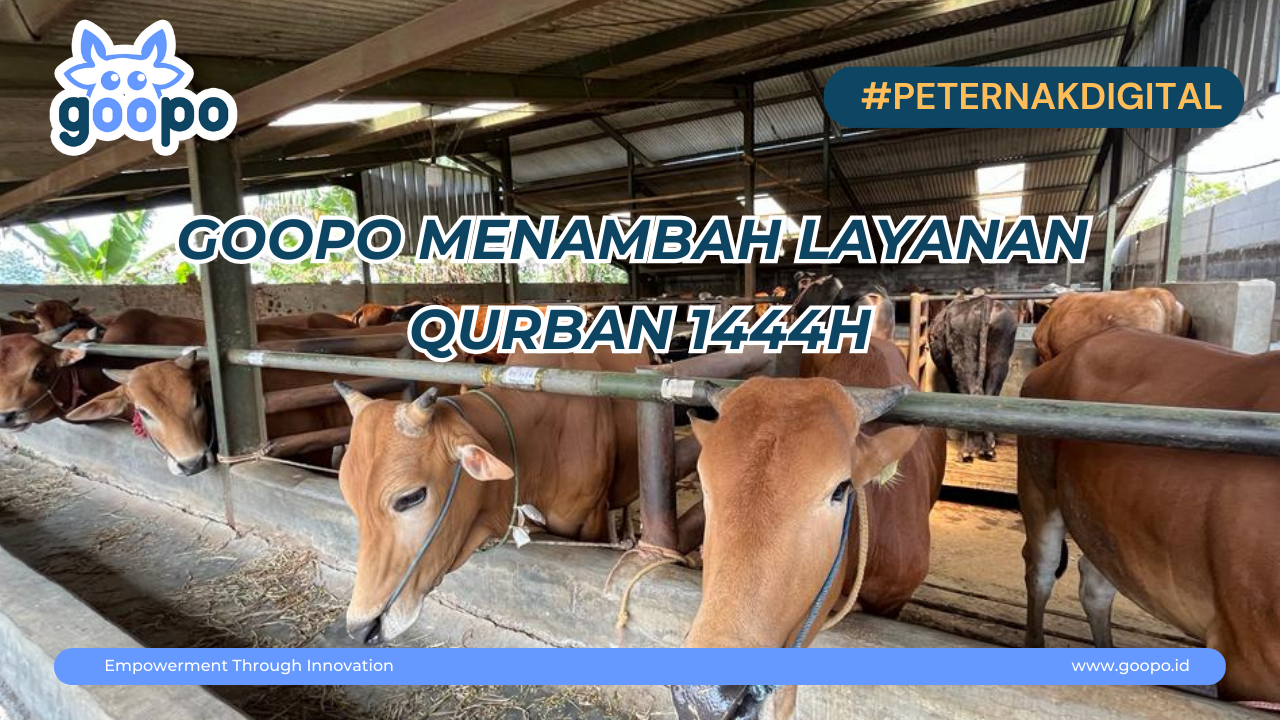 Goopo Menambah Layanan Qurban 2023 - 1444H