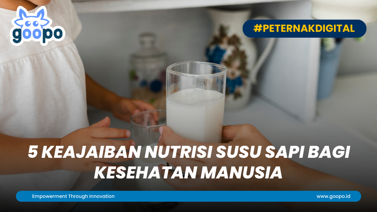 5 Keajaiban Nutrisi Susu Sapi Bagi Kesehatan Manusia