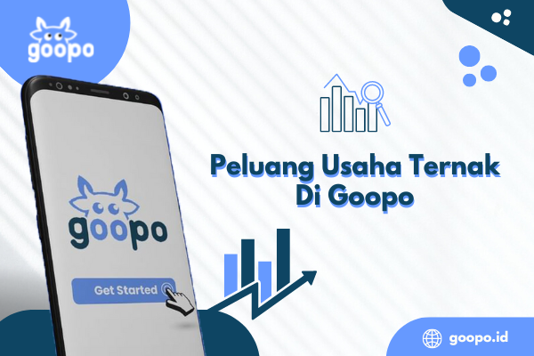 Peluang Usaha Ternak di Goopo