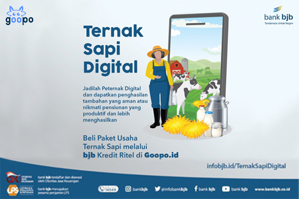 Peluang Usaha Ternak Sapi Online