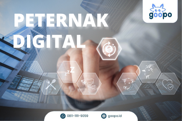 Keuntungan Peternak Digital dan Aplikasi Ternak Digital